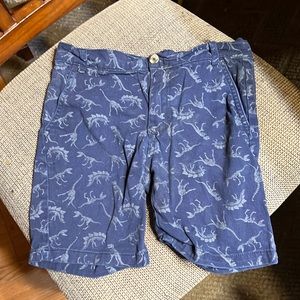 Craft flow dinosaur shorts